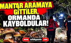 Karabük’te mantar aramaya gittiler, ormanda kayboldular!