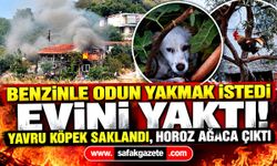 Benzinle odun yakmak istedi! Ev kullanılamaz hale geldi