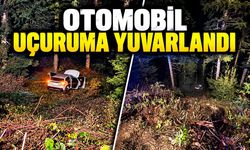 Otomobil uçuruma yuvarlandı: 4 kişi yaralandı