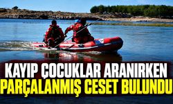 Korkunç keşif! Kayıp çocuklar aranırken başka ceset bulundu