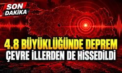 4.8 büyüklüğünde deprem: Çevre illerden de hissedildi