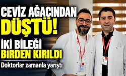 Zonguldak'ta ceviz ağacından düştü! İki doktor aynı anda ameliyata girdi