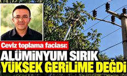 Ceviz toplarken yüksek gerilim hattına temas etti: Hayatını kaybetti