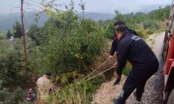 Defne’de kayalıklardan düşen vatandaş yaralandı