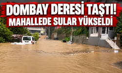 Dombay Deresi taştı! Mahallede sular yükseldi
