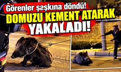 İlginç olay! Yaralı yaban domuzunu kementle yakaladı