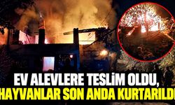 Tek katlı ev tamamen yandı: Ahırdaki hayvanlar son anda çıkarıldı