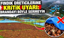 Fındık üreticilerine kritik uyarı: Brandayı böyle sermeyin