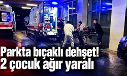 Parkta bıçaklı dehşet! 2 çocuk ağır yaralı