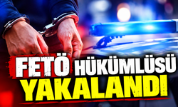 FETÖ hükümlüsü yakalandı