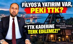 Filyos'a yatırım var, peki TTK? Burak Erol'dan Bakan Bayraktar'a çağrı