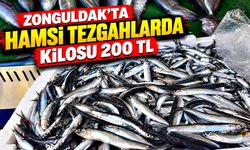 Zonguldak’ta hamsi tezgâhlarda: Kilosu 200 TL
