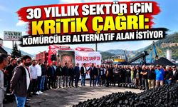 30 yıllık sektör için kritik çağrı: Kömürcüler alternatif alan istiyor
