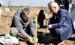 Karabük'te 250 fidan toprakla buluştu