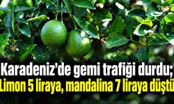 Karadeniz'de gemi trafiği durdu; Limon 5 liraya, mandalina 7 liraya düştü