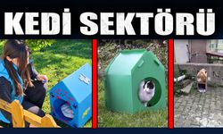 Kedi Sektörü