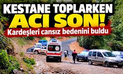 Kestane toplarken acı son! Kardeşleri cansız bedenini buldu