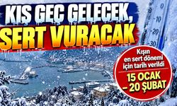 Kış geç gelecek, sert vuracak: En sert dönem için tarih verildi