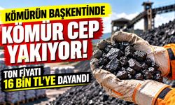 Kömürün başkentinde kömür cep yakıyor! Ton fiyatı 16 bin TL'ye dayandı