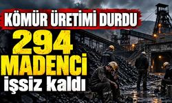 Kömür üretimi durdu: 294 madenci işsiz kaldı