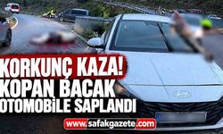 Korkunç kaza! Atın kopan bacağı otomobile saplandı
