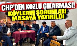 CHP'den Kozlu çıkarması! Köylerin sorunları masaya yatırıldı