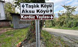 Köy yollarına yeni levhalar! Çalışmalar tamamlandı