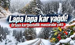 Lapa lapa kar yağdı! Ortaya kartpostallık manzaralar çıktı