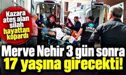 Doğum gününe 3 gün kala hayatını kaybetti; 17 yaşına girecekti