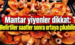 Mantar yiyenler dikkat: Belirtiler saatler sonra ortaya çıkabilir