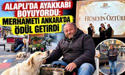 Kazancını sokak hayvanlarına harcadı: Merhameti Ankara’da ödül getirdi