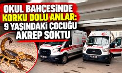 Okul bahçesinde korku dolu anlar: 9 yaşındaki çocuğu akrep soktu