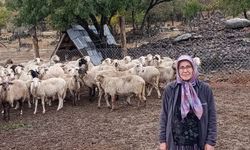Orman köylülerine destek! 18 ünite tamamlandı