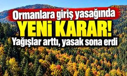 Ormanlara giriş yasağında yeni karar! Yağışlar arttı, yasak sona erdi