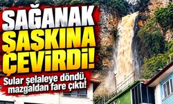 Sağanak şaşkına çevirdi! Sular şelaleye döndü, fare mazgaldan kaçtı