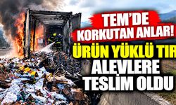 TEM'de korkutan anlar! Ürün yüklü tır alevlere teslim oldu