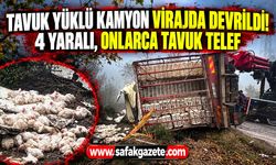 Tavuk yüklü kamyon virajda devrildi! 4 yaralı, onlarca tavuk telef