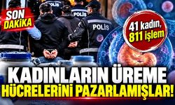 Yasa dışı "Üreme hücresi" ticaretinde dikkat çeken detay: Sarı saç, mavi göz şartı!