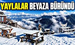 Rize'nin yaylaları beyaza büründü