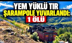 Yem yüklü tır şarampole devrildi: Sürücü hayatını kaybetti