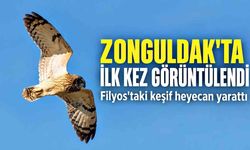 Zonguldak'ta ilk kez görüldü! Filyos'taki keşif heyecan yarattı