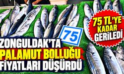 Zonguldak’ta palamut bolluğu fiyatları düşürdü: 75 TL’ye kadar geriledi