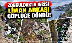 Zonguldak'ın incisi liman arkası çöplüğe döndü