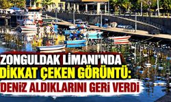 Zonguldak Limanı’nda dikkat çeken görüntü: Deniz aldıklarını geri verdi