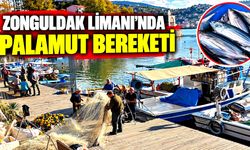 Zonguldak Limanı’nda palamut bereketi