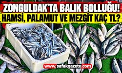 Zonguldak’ta balık bolluğu! Hamsi, palamut ve mezgit fiyatları