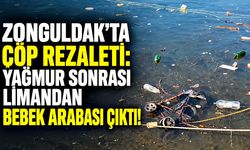 Zonguldak'ta çöp rezaleti: Yağmur sonrası limandan bebek arabası çıktı!