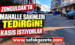Zonguldak'ta mahalle sakinleri tedirgin! Kasis istiyorlar