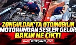 Zonguldak’ta otomobilin motorundan sesler geldi! Bakın ne çıktı