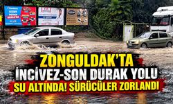 Zonguldak'ta İncivez-Son Durak yolu su altında! Sürücüler zorlandı